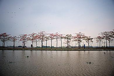 《赛博朋克2077》酷炫画面视频 热辣美女很逼真